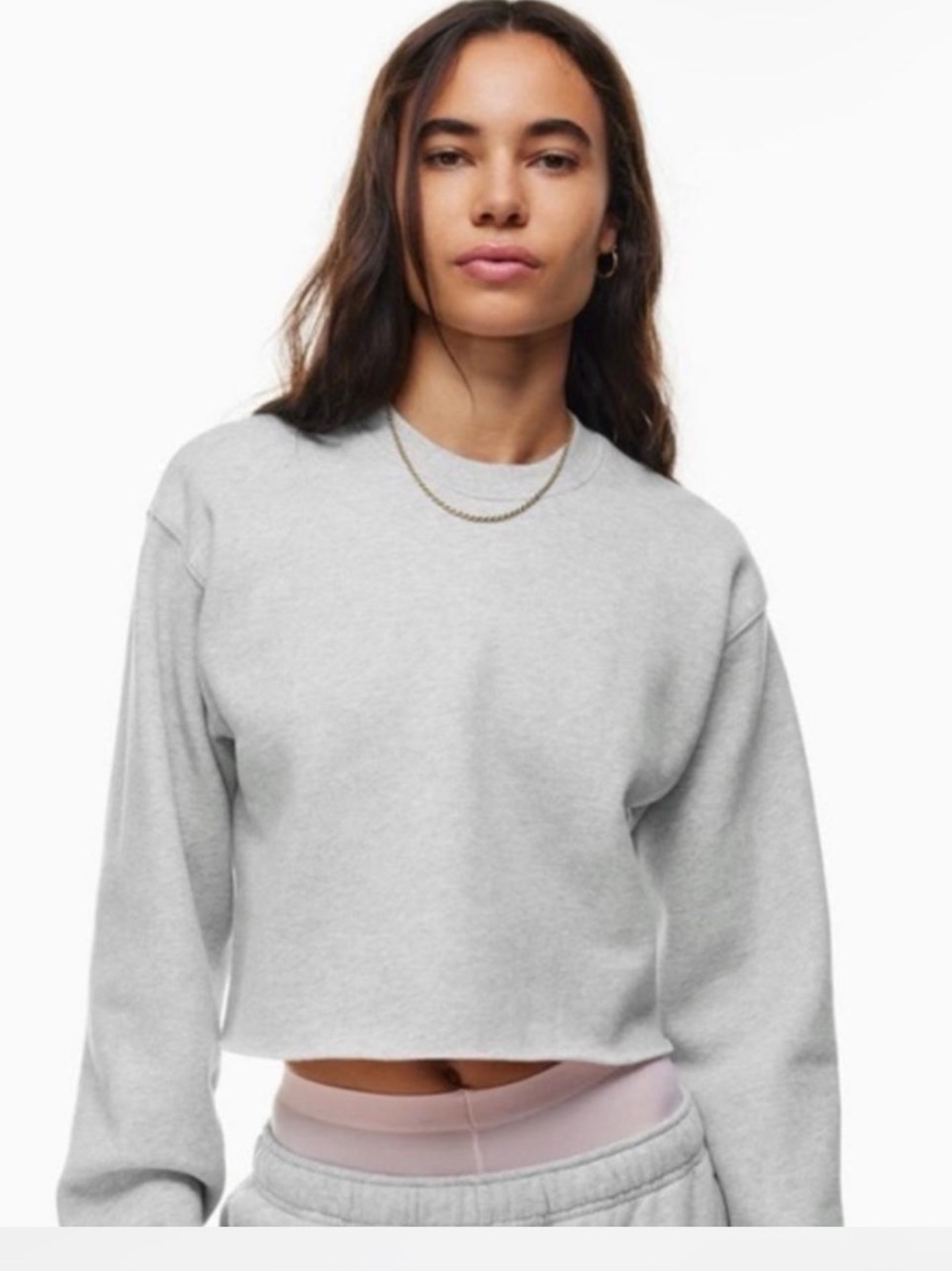 Aritzia TNA Cropped Grey Crew Neck
